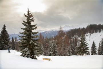 Obraz na płótnie Canvas The view of snowy forest in Austrian Alps
