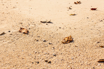 Sand detail