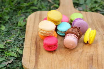 French macaroons multi colorful is delicious