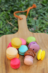 French macaroons multi colorful is delicious