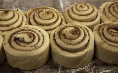Fototapeta premium Cinnamon Rolls