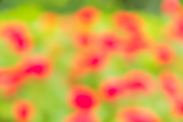 Abstract bokeh and blurred green nature background