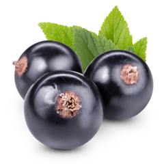 black currants