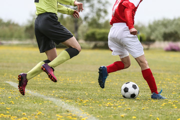 Fototapeta premium サッカー