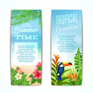 Tropical Summer Banner