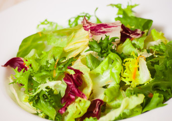 fresh mixed salad leaves
