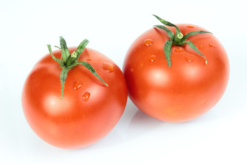 Tomato