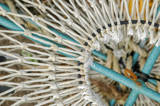 clseup of a crab fishing pot