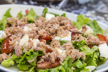 Fresh Salad
