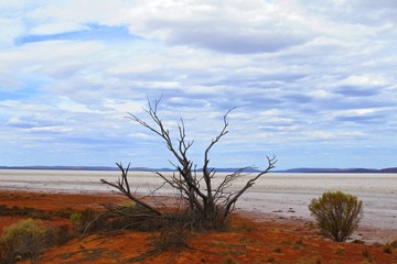Fototapeta premium Lake Gardner, South Australia