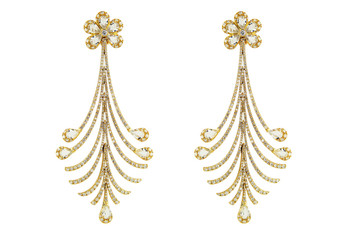 Earrings isolated on a white background