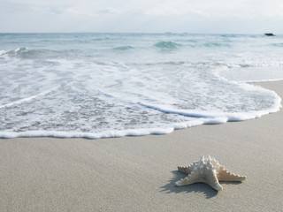 Sand and waves and starfish