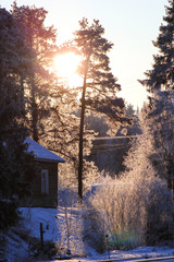 зимний закат