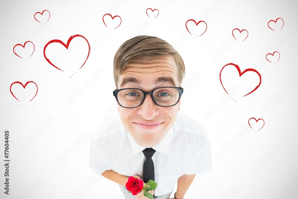 Poster composite image of geeky hipster holding a red rose