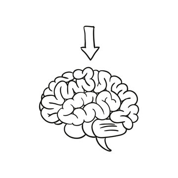 brain with arrow. vector illustration