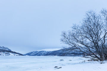 Norway in winter - trip near Tromso