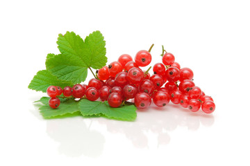 red currant berries and green leaves on a white background with