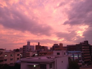 Obraz premium ピンク色の夕焼け