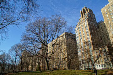 Obraz premium Central Park