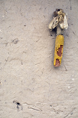 Dried corn on wall of rural house