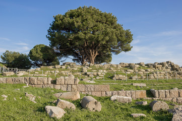 Altar of Zeus