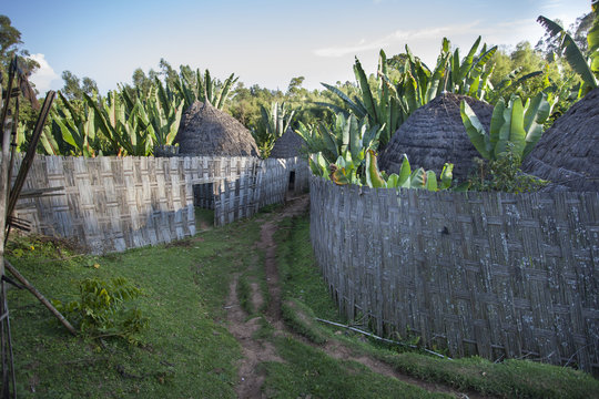 Ethiopian village