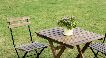 Fototapeta premium small beautiful flowers pots decoration on wooden table