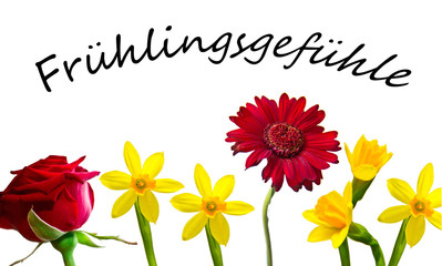 Frühlingsgefühle