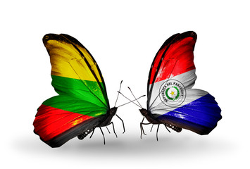 Two butterflies with flags Lithuania and Paraguay