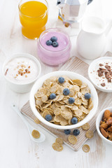crunchy flakes with blueberries and various yogurts