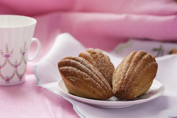 Madeleine with green tea on a pink background