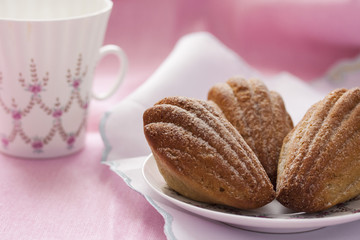 Madeleine with green tea on a pink background