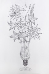 Pencil Drawing Glass Vase Flowers