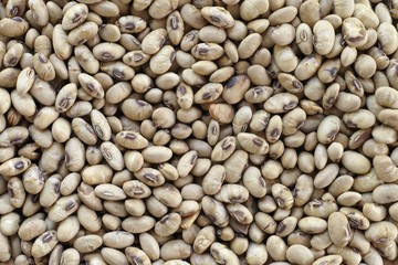 Roasted Soybean background