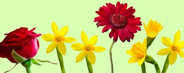 Frühling