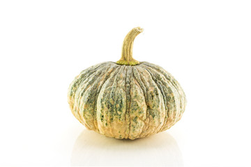 green pumpkin fruit isolated on white background