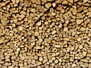 Fondo de troncos de madera