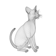 cat wire model