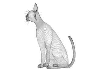 cat wire model