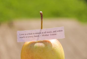 Love is the fruit quote balanced on an apple in natural light