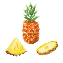 watercolor pineapple set - 77625059
