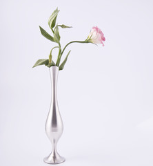 Pink rosebud in a refined vase.