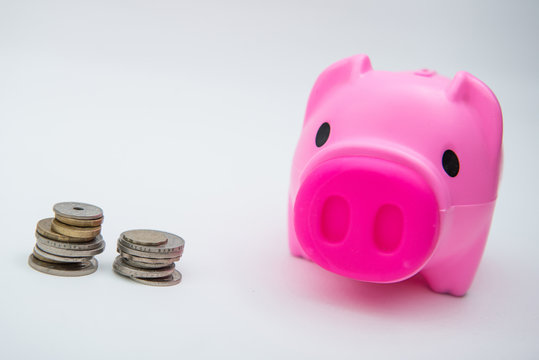 pink piggy bank with coin for save your money