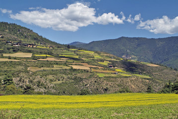 Obraz premium Bhutan, Haa,