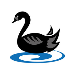 emblem with black swan floating on water