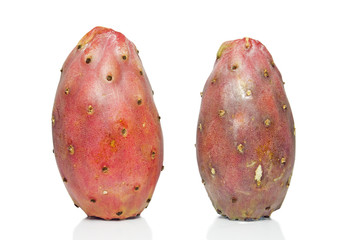 cactus fruit
