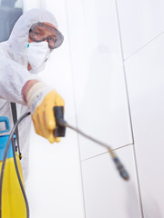 Pest controler works in the kitchen