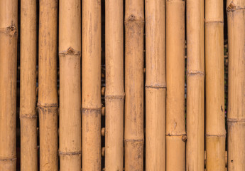 bamboo fence background texture pattern