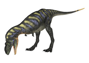 Dinosaur Aucasaurus