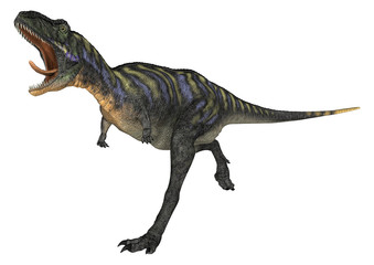 Dinosaur Aucasaurus